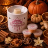 waxmelts pomoen een heerlijke winter geur